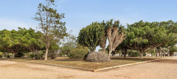 Bungalow de 2 dormitorios en Torrevieja, Spain No. 178496 25