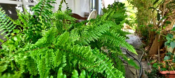 3 غرف نوم فيلا في Cascais, Portugal رقم 133195 8