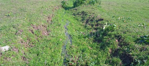  Land in Antas, Portugal No. 190497 4