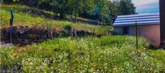 2 Schlafzimmer Haus in Trasquera, Italy, Nr. 302386 32