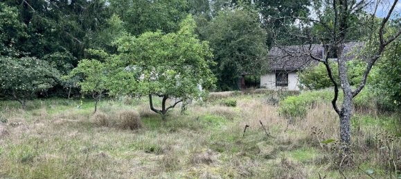 Дом с 3 спальнями в Люхов-Данненберг, Германия № 228922 19