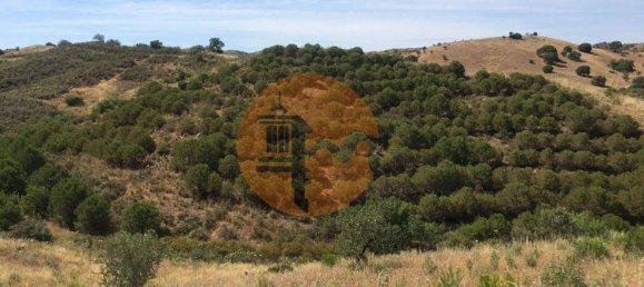 17640m² Land in Castro Marim, Portugal No. 65751 20