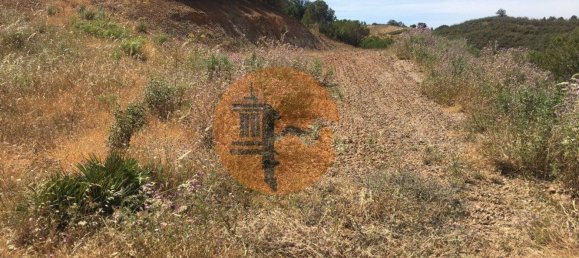 17640m² Land in Castro Marim, Portugal No. 65751 19