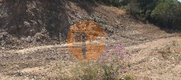 17640m² Land in Castro Marim, Portugal No. 65751 10