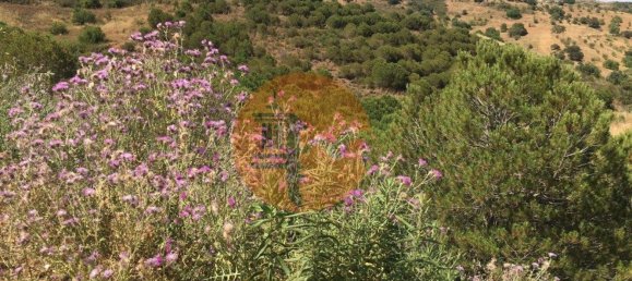 17640m² Land in Castro Marim, Portugal No. 65751 7