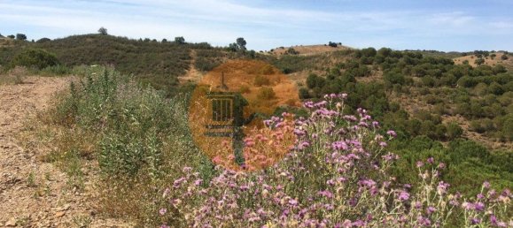 17640m² Land in Castro Marim, Portugal No. 65751 8