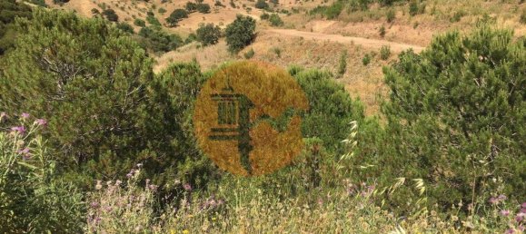 17640m² Land in Castro Marim, Portugal No. 65751 9