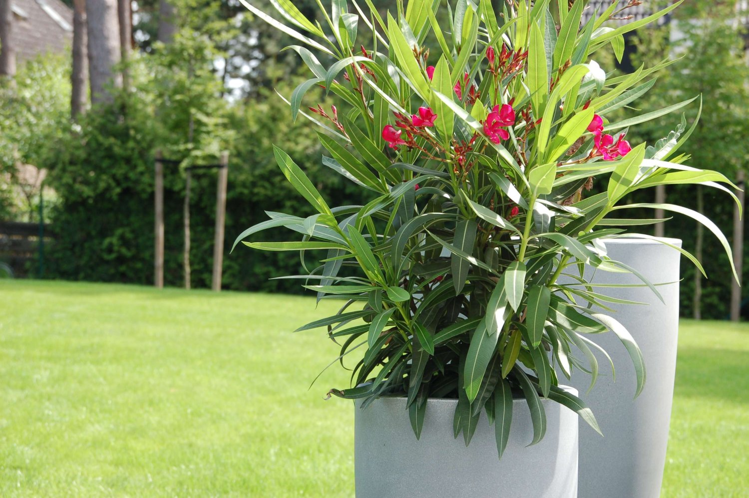 Terreno en Markisch-Oderland, Germany No. 226477