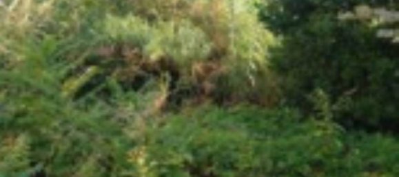 Apartamento de 2 habitaciónes en San Giovanni Teatino, Italy No. 306443 9