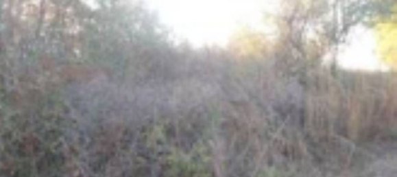 Apartamento de 2 habitaciónes en San Giovanni Teatino, Italy No. 306443 11