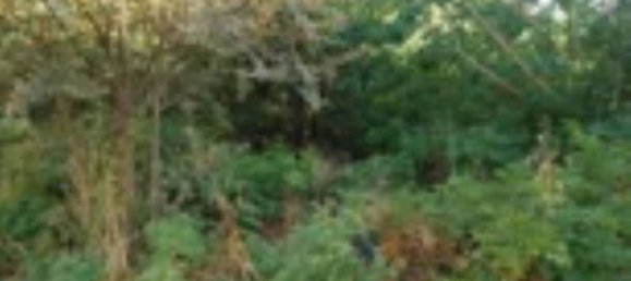 Apartamento de 2 habitaciónes en San Giovanni Teatino, Italy No. 306443 8