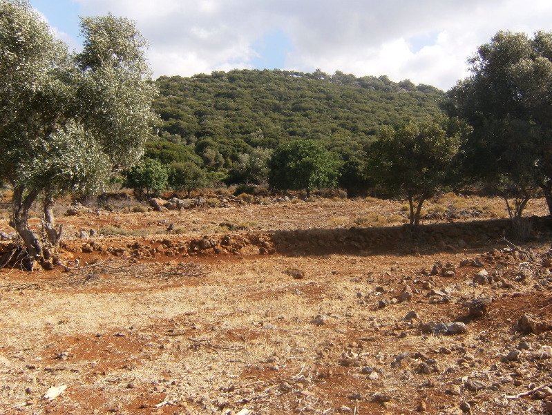 31430m² Hotel in Malia, Greece No. 5979