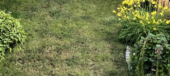 Adosado de 4 dormitorios en Ostholstein, Germany No. 333336 8