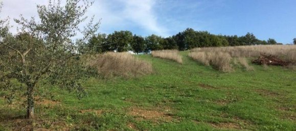 Terreno en Casole d'Elsa, Italy 1050 m² No. 12076 2