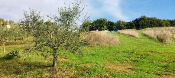 Terreno en Casole d'Elsa, Italy 1050 m² No. 12076 7