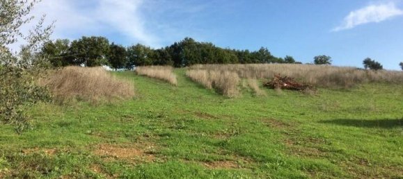 Terreno en Casole d'Elsa, Italy 1050 m² No. 12076 6