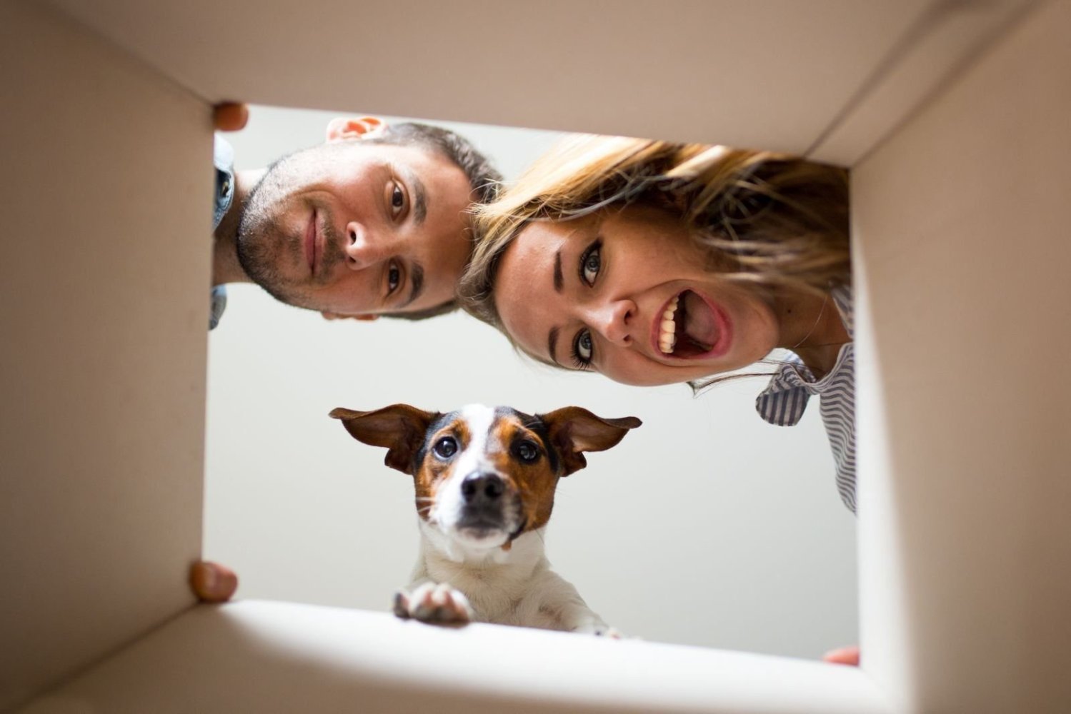 4غرفة بنغالو في Brandenburg, Germany رقم 75776