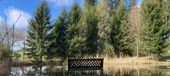 Grundstück in Sallingberg, Austria, Nr. 245071 5