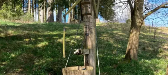 Grundstück in Sallingberg, Austria, Nr. 245071 23