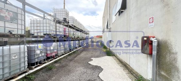 2441m² Warehouse in Boara Pisani, Italy No. 65400 19