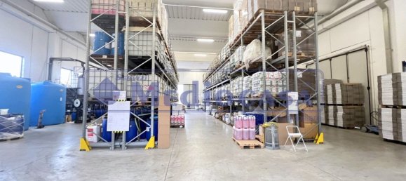 2441m² Warehouse in Boara Pisani, Italy No. 65400 14