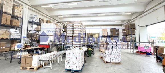 2441m² Warehouse in Boara Pisani, Italy No. 65400 13