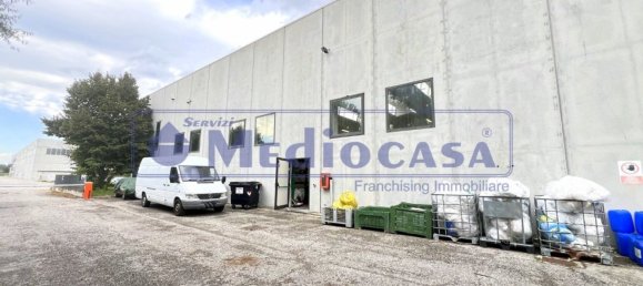 2441m² Warehouse in Boara Pisani, Italy No. 65400 36