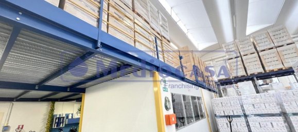 2441m² Warehouse in Boara Pisani, Italy No. 65400 37