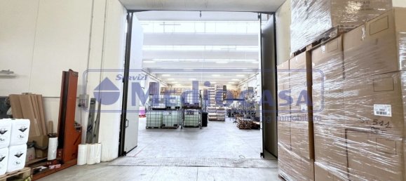 2441m² Warehouse in Boara Pisani, Italy No. 65400 21