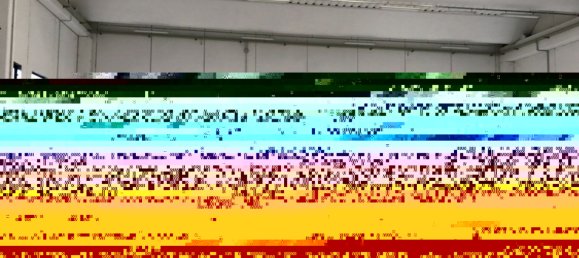 2441m² Warehouse in Boara Pisani, Italy No. 65400 6