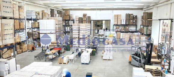 2441m² Warehouse in Boara Pisani, Italy No. 65400 32