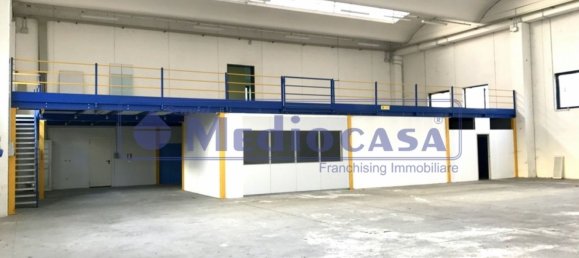 2441m² Warehouse in Boara Pisani, Italy No. 65400 17
