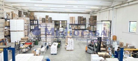 2441m² Warehouse in Boara Pisani, Italy No. 65400 31