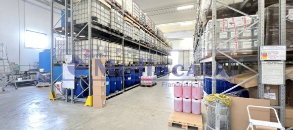 2441m² Warehouse in Boara Pisani, Italy No. 65400 18