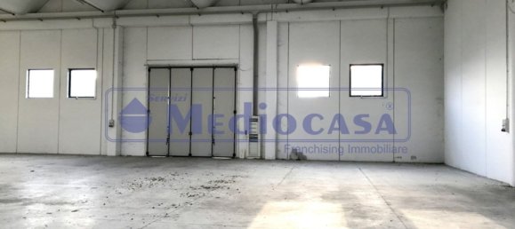 2441m² Warehouse in Boara Pisani, Italy No. 65400 5