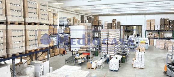 2441m² Warehouse in Boara Pisani, Italy No. 65400 33