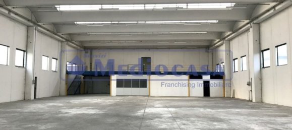2441m² Warehouse in Boara Pisani, Italy No. 65400 15