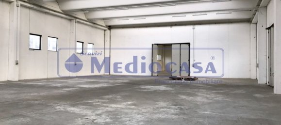 2441m² Warehouse in Boara Pisani, Italy No. 65400 8