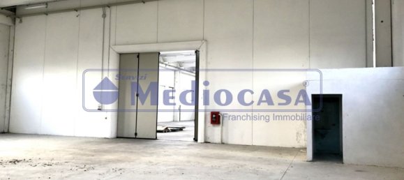 2441m² Warehouse in Boara Pisani, Italy No. 65400 10