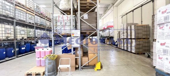 2441m² Warehouse in Boara Pisani, Italy No. 65400 16