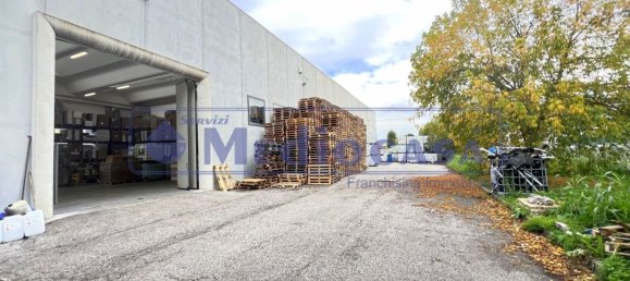 2441m² Warehouse in Boara Pisani, Italy No. 65400 23