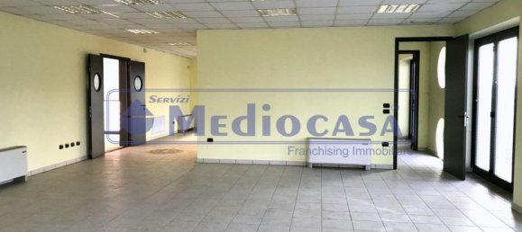 2441m² Warehouse in Boara Pisani, Italy No. 65400 12