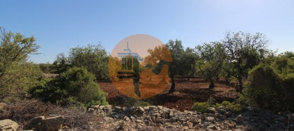 Terreno en Faro, Portugal 5600 m² No. 49499 24