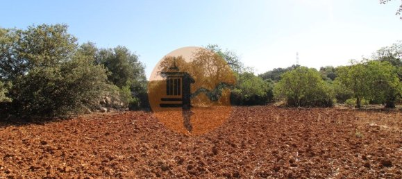 Terreno en Faro, Portugal 5600 m² No. 49499 3