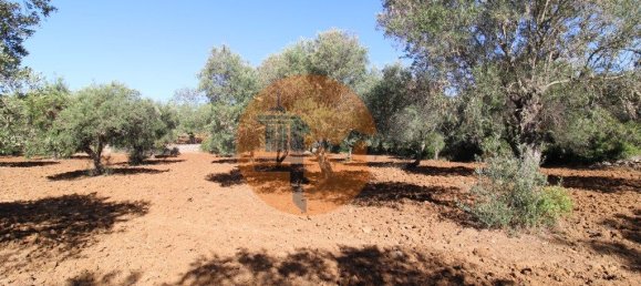 Terreno en Faro, Portugal 5600 m² No. 49499 23