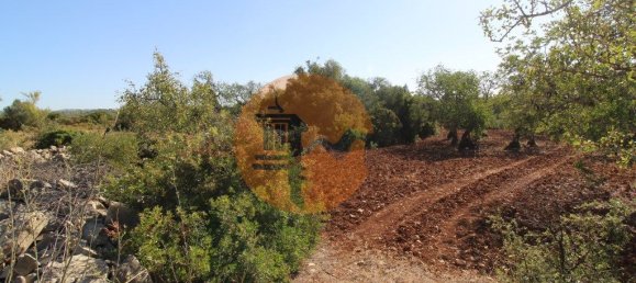 Terreno en Faro, Portugal 5600 m² No. 49499 9