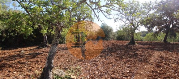 Terreno en Faro, Portugal 5600 m² No. 49499 4