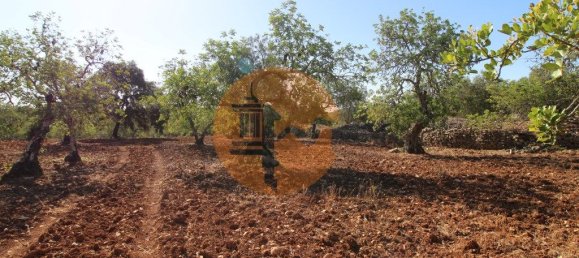 Terreno en Faro, Portugal 5600 m² No. 49499 5