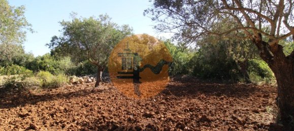 Terreno en Faro, Portugal 5600 m² No. 49499 20