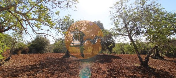 Terreno en Faro, Portugal 5600 m² No. 49499 6